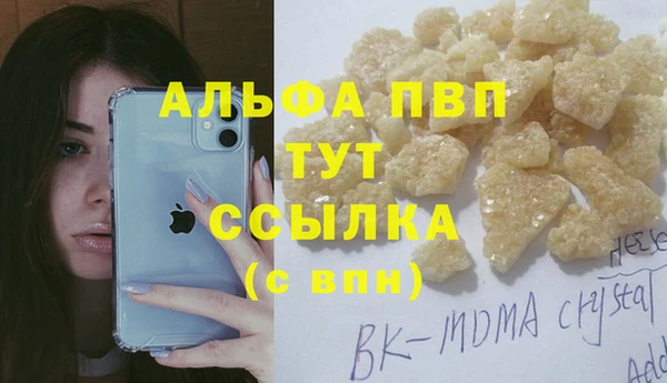 твердый Аркадак