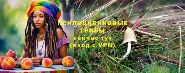 spice Армянск