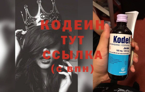 твердый Аркадак