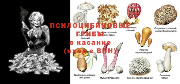 твердый Аркадак