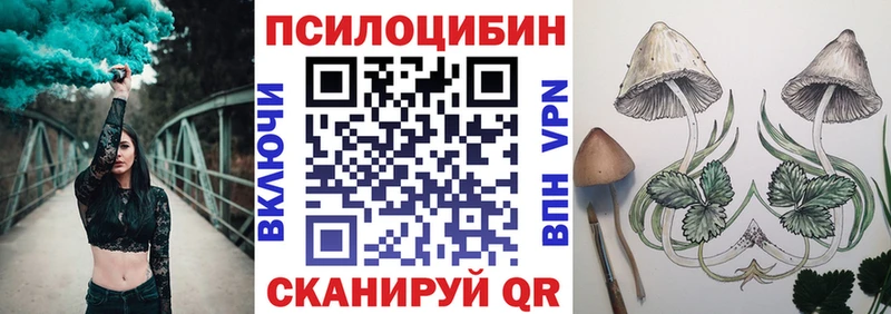 Галлюциногенные грибы мицелий blacksprut сайт Переславль-Залесский